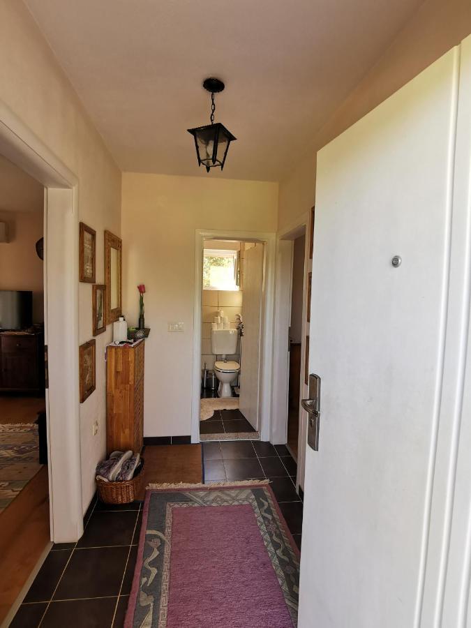 Apartman Selma Vinine Zewnętrze zdjęcie